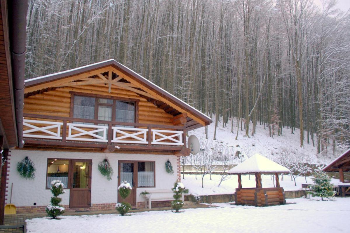 U Druziv Polyana (Transcarpathia) Exterior foto