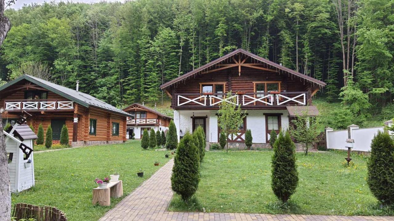 U Druziv Polyana (Transcarpathia) Exterior foto