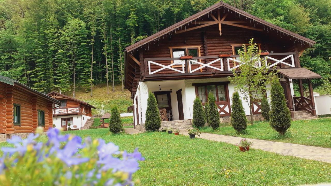 U Druziv Polyana (Transcarpathia) Exterior foto